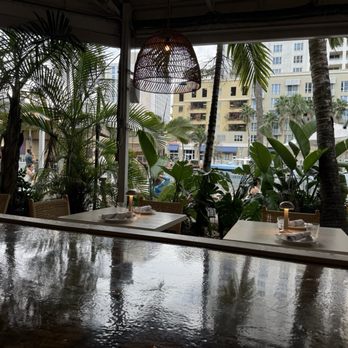 Santorini - Outdoor area - Greek Near Me - Fort Lauderdale, Florida Santorini - Outdoor area - Greek Near Me - Fort Lauderdale, Florida
