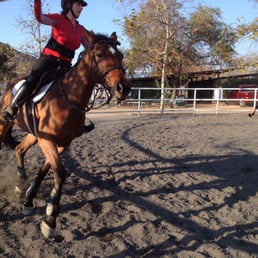 My daughter fell one time while doing this exercise. At least this time she was in a saddle and had stirrups.