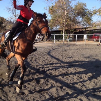 Zequestrian - My daughter fell one time while doing this exercise. At least this time she was in a saddle and had stirrups. - Horseback Riding Near Me - San Juan Capistrano, California