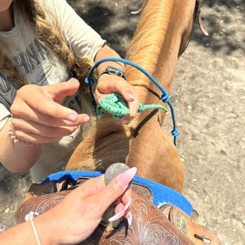 A Place For Dreamers - Horseback Riding Near Me - Needville, Texas A Place For Dreamers - Horseback Riding Near Me - Needville, Texas