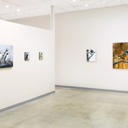 Moss Galleries - Morgan Cameron: Fur & Feathers