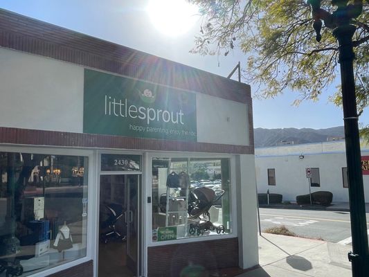 Little Sprout by null