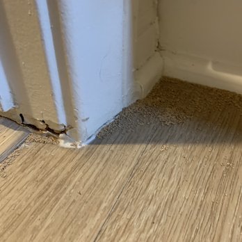 Bordeaux Apartment Homes - They don't want to admit it's termite! It is taken the entire home and neighbors too probably! - Apartments Near Me - Newport Beach, California Bordeaux Apartment Homes - They don't want to admit it's termite! It is taken the entire home and neighbors too probably! - Apartments Near Me - Newport Beach, California