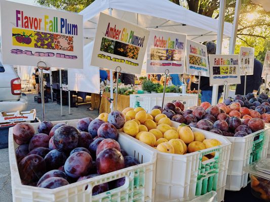 Ojai Community Farmers' Market by null