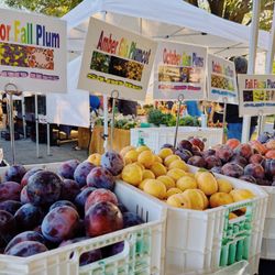 Ojai Community Farmers’ Market - Plums