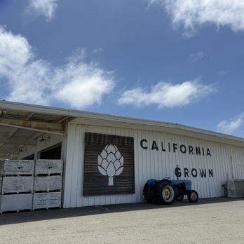 The Choke Coach - Outside - store is a tourist trap not good to me but the grilled artichoke from the food truck are worth the stop - Food Trucks Near Me - Salinas, California The Choke Coach - Outside - store is a tourist trap not good to me but the grilled artichoke from the food truck are worth the stop - Food Trucks Near Me - Salinas, California