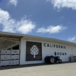 Outside - store is a tourist trap not good to me but the grilled artichoke from the food truck are worth the stop