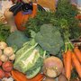 Photo of Flushing CSA