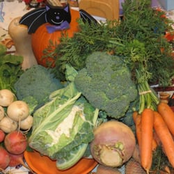 Flushing CSA - Typical October share