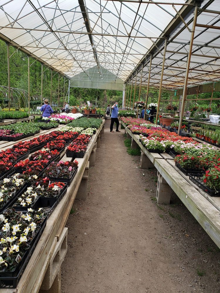 SCITUATE NURSERY FARM & GREENHOUSES Updated May 2024 767 Hartford