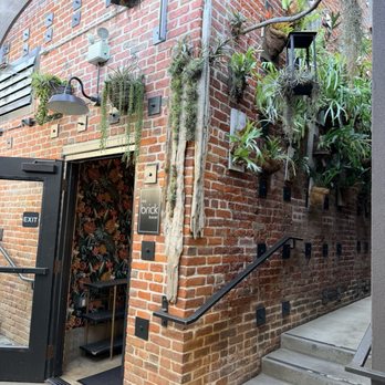 Succulent Coffee - Coffee & Tea Near Me - Oceanside, California
