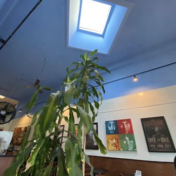 Cafe La Flore Irving - Inside - skylight - Coffee & Tea Near Me - San Francisco, California Cafe La Flore Irving - Inside - skylight - Coffee & Tea Near Me - San Francisco, California