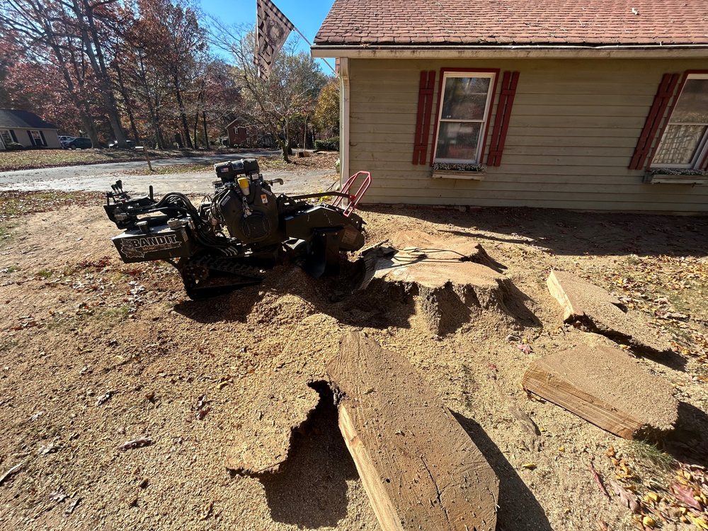 Stump Slayers - tree service in Greensboro, NC