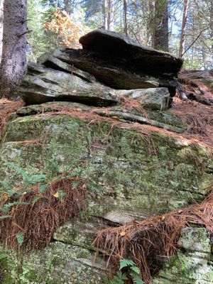 Algonquin Provincial Park by null