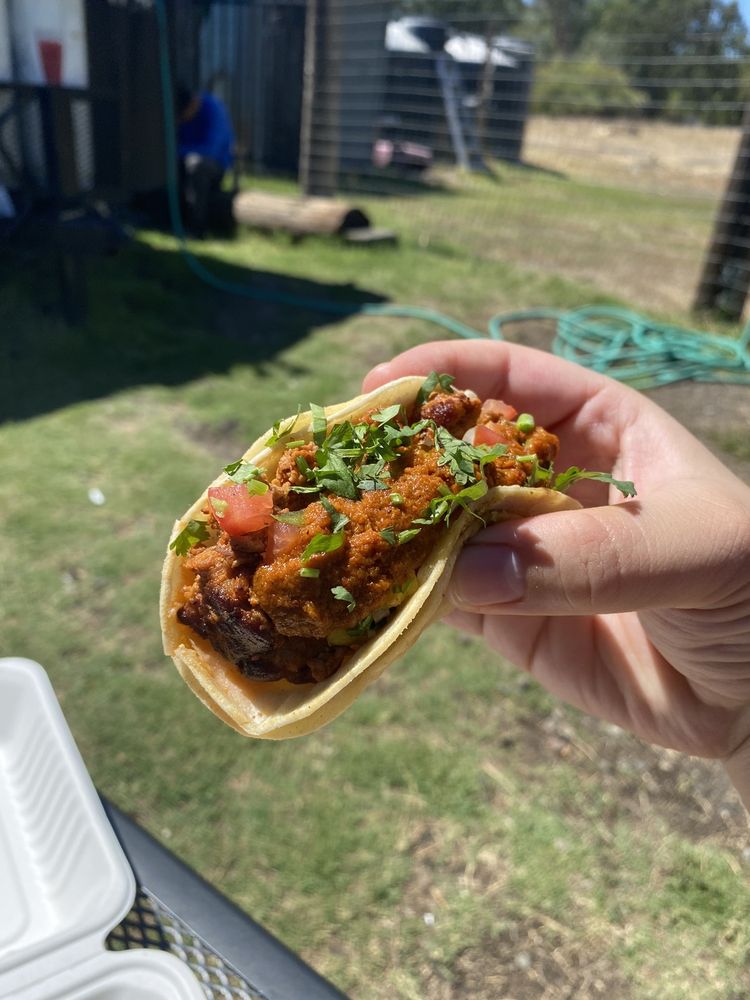 EL TACO FELIZ TACO TRUCK 17 Photos & 12 Reviews 21178 Calistoga Rd