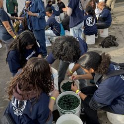 Phoenix Decorating Co - Volunteers working outside on filling the vials for roses with water. Hands get very dry and irritated with the chemical water