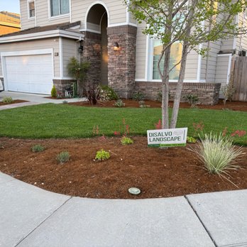DiSalvo Landscape - lawn and rough-tolerant plants - Masonry/Concrete Near Me DiSalvo Landscape - lawn and rough-tolerant plants - Masonry/Concrete Near Me