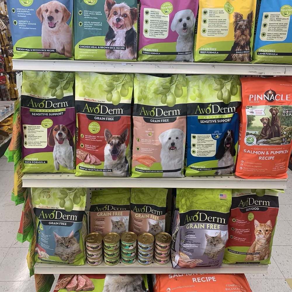 Imagen de cerca de un perro Foto de stock 2684641671 | Shutterstock, image size:1000x1000