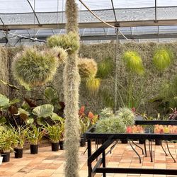 Updated outdoor gardens