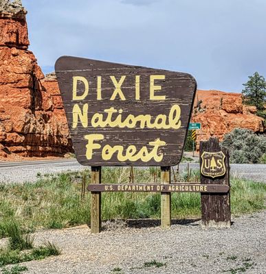 Dixie National Forest by null
