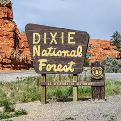 Dixie National Forest - At Dixie National Forest