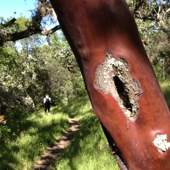 Sonoma Valley Regional Park - Parks Near Me - Glen Ellen, California Sonoma Valley Regional Park - Parks Near Me - Glen Ellen, California