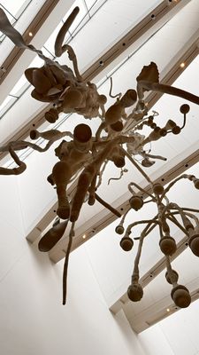 Blanton Museum of Art by null