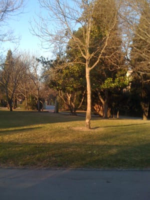 Parc Jourdan by null