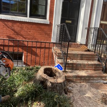 Top Notch Tree And Landscape - Tree Services Near Me