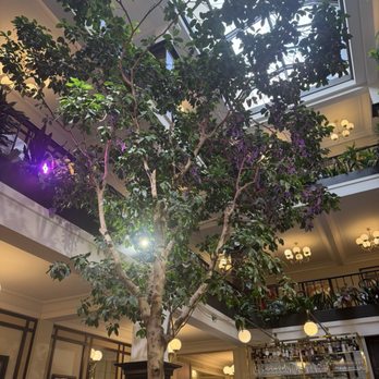 Le Café du Commerce - Live tree in the center of the restaurant - French Near Me - Paris, 75