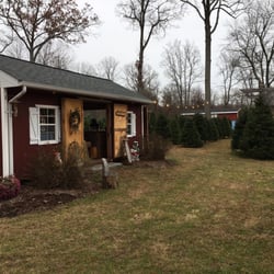 Sabia Tree Farm - Charming Christmas tree farm. Family owned and wonderful service.