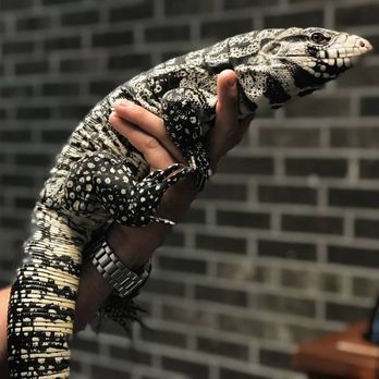 Lowcountry Exotics - Reptile Shops Near Me - Bluffton, South Carolina Lowcountry Exotics - Reptile Shops Near Me - Bluffton, South Carolina