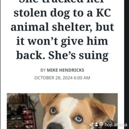 SHAMEFUL ORGANIZATION. Please return Jaxon to his Mom. ##justiceforjaxon #givehimback #wtf ##freejaxon