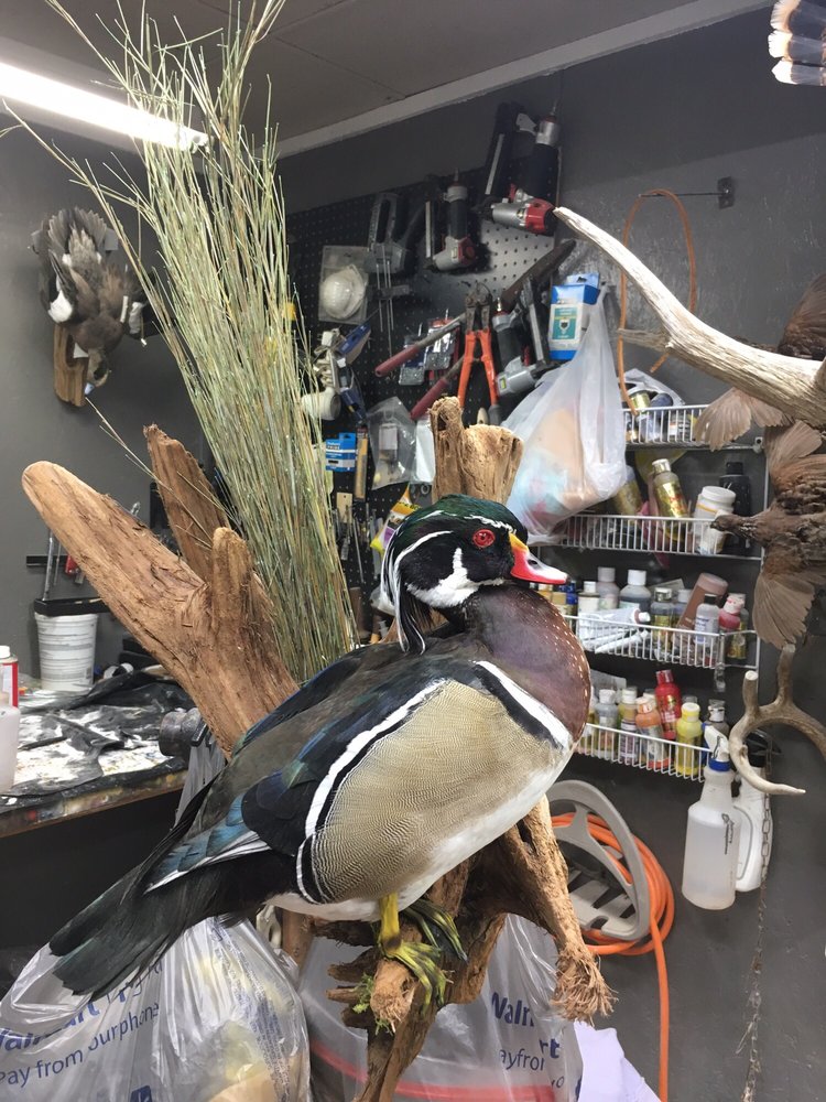 SMOKING GUNS TAXIDERMY SHOP CLOSED Updated June 2024 400 Post Oak