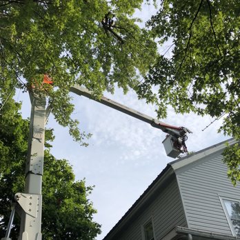 S & L Tree And Stump - Tree Services Near Me - Watertown, New York S & L Tree And Stump - Tree Services Near Me - Watertown, New York