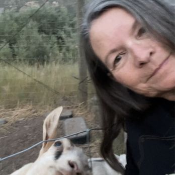 James Ranch Grill - Photo booming goats - New American Near Me - Durango, Colorado James Ranch Grill - Photo booming goats - New American Near Me - Durango, Colorado