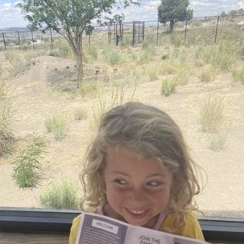 Animal Ark - Cuddle fest under a tree - Zoos Near Me - Reno, Nevada
