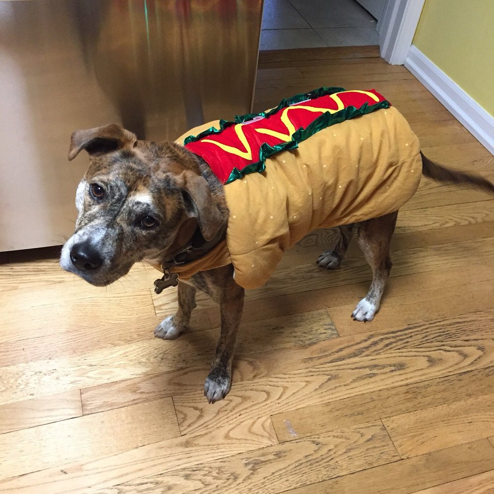 Hot dog costume Large Hot dog costume Large