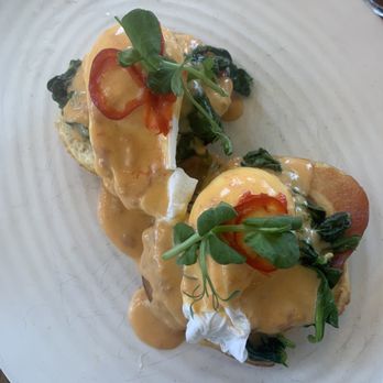 OLIVIA - Biscuits and gravy - Italian Near Me - Tampa, Florida OLIVIA - Biscuits and gravy - Italian Near Me - Tampa, Florida