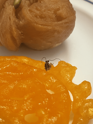 Al Rehmat Sweets & Confectionery