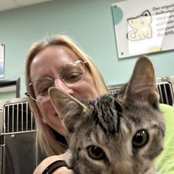 Friends of Felines
