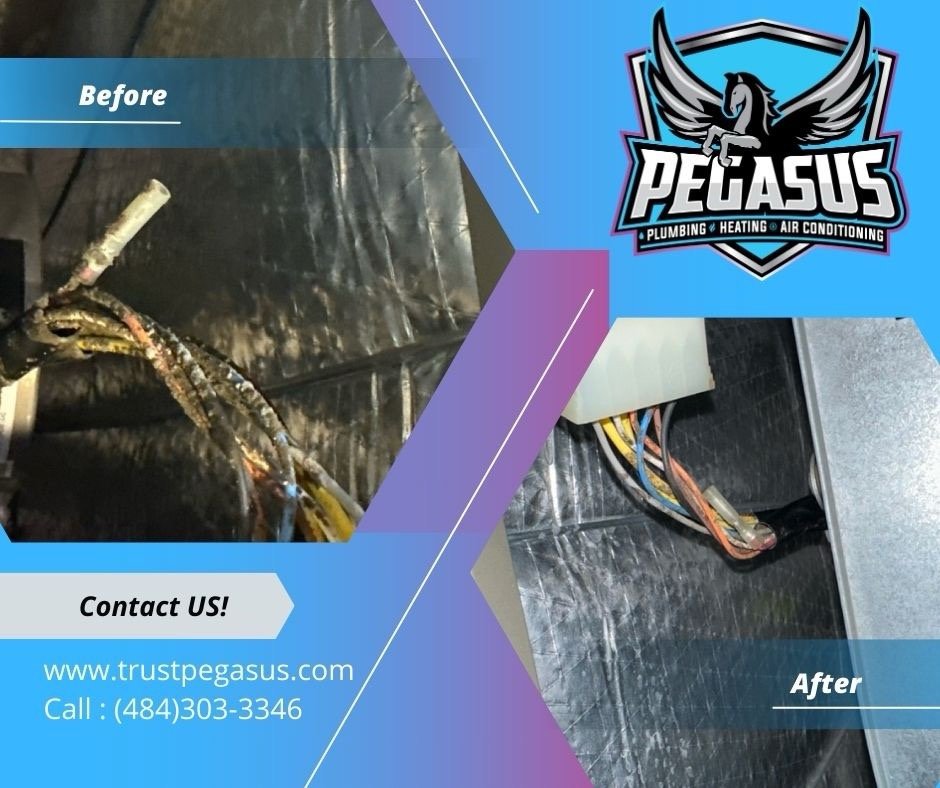 Slide of Pegasus Home Services