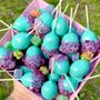 Kandy Fruits