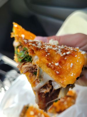 Birria-Landia by null