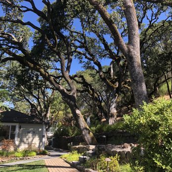 Olea Hotel - Hotels Near Me - Glen Ellen, California Olea Hotel - Hotels Near Me - Glen Ellen, California