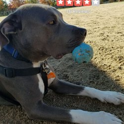 Regency Community Dog Park - Beautiful day after some rain. 11/17/17