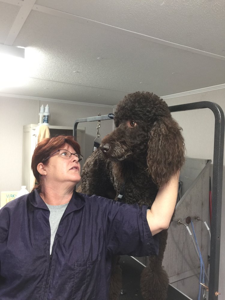 DANITA’S GROOMING PLACE 7536 Board Dr, Baton Rouge, LA Yelp