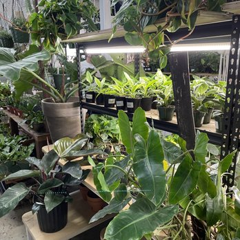 Found Things - Nurseries & Gardening Near Me - Syracuse, New York
