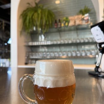 Cohesion Brewing - Breweries Near Me - Denver, Colorado