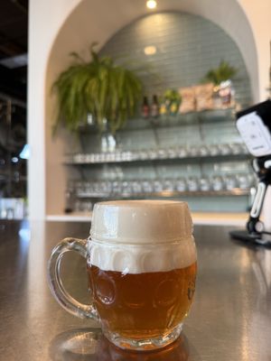 Cohesion Brewing by null